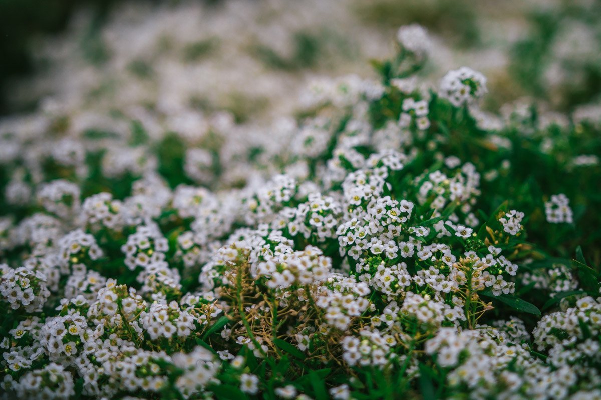 Мой Бог уходит от меня... Да будет тих мой Дом. Да будет час любого дня Ползти теперь с трудом. 