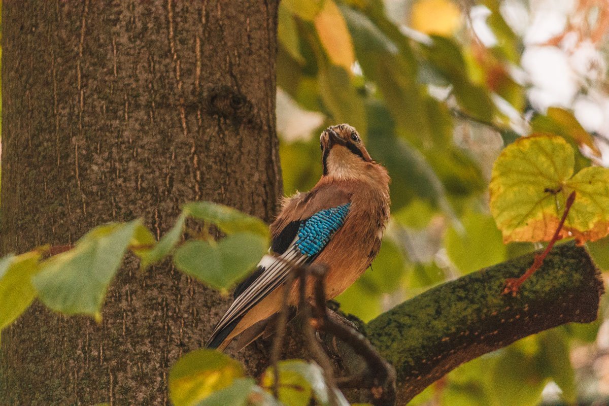 Если пусто в душе — значит время сменить маршрут. Запиши в голове разборчиво, без чернил: Если любят тебя — обязательно подождут, Если счастье придет — значит ты его заслужил. 