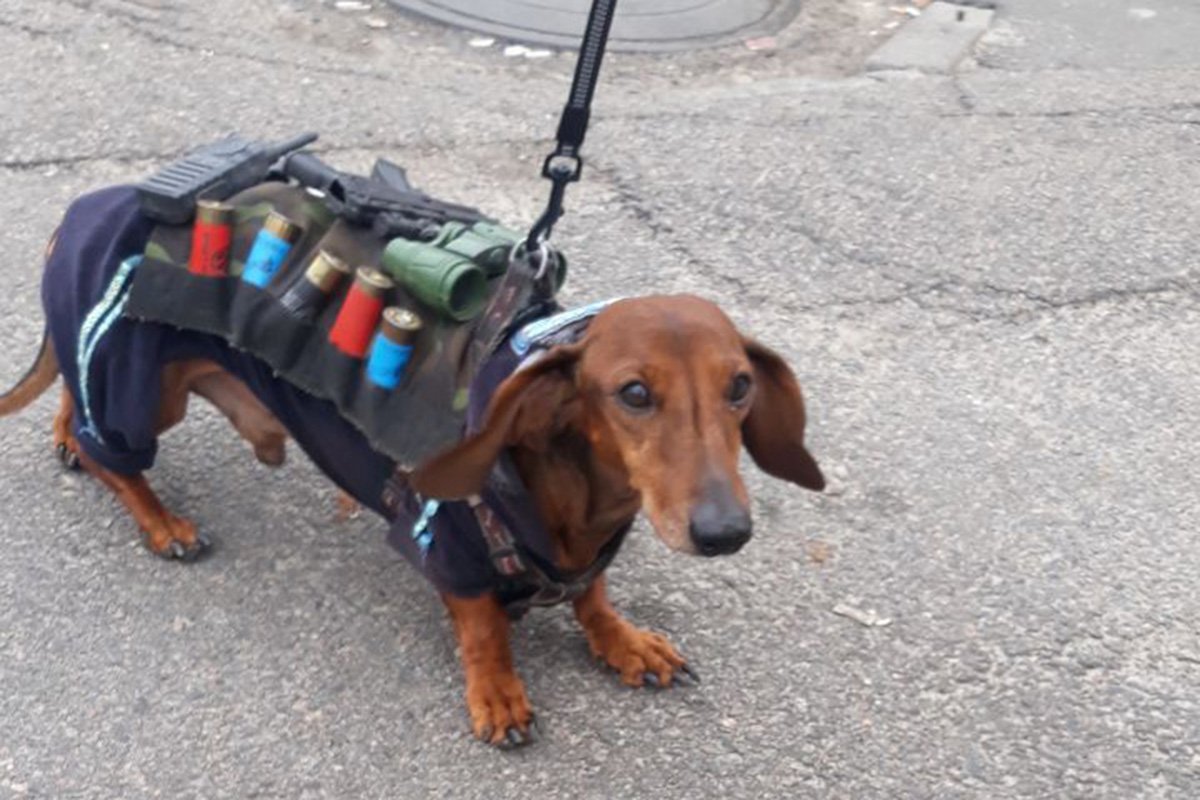 Маленький сапер Маленький сапер