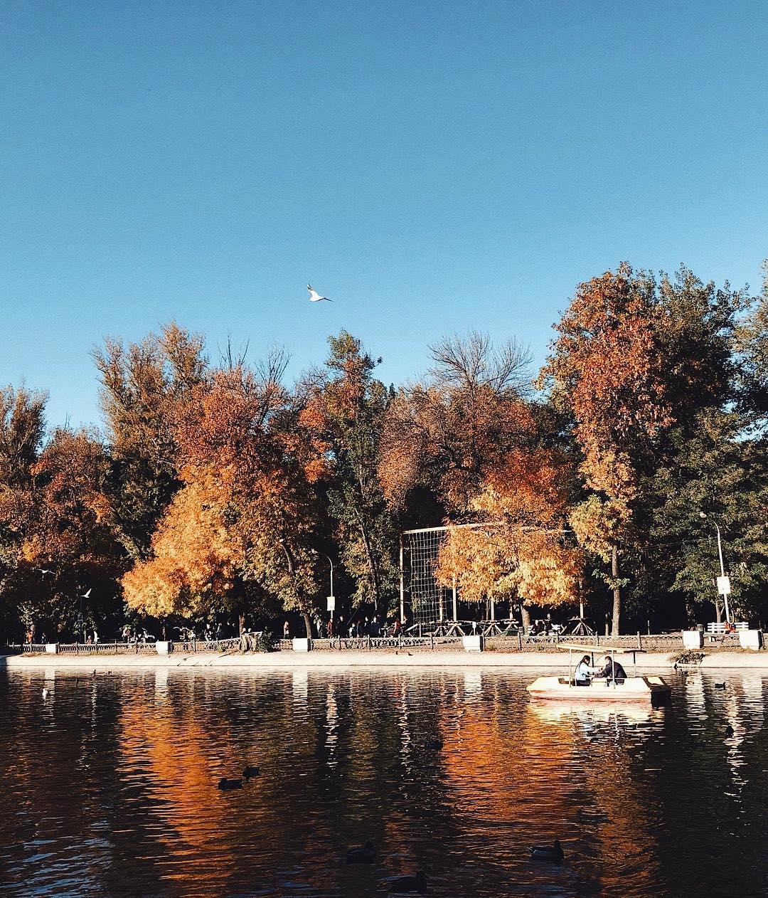 Последние лучики теплого солнца. Фото: tanktata