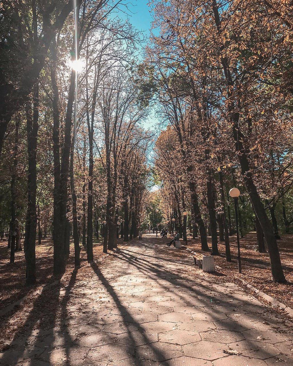 Осенью чем длиннее прогулки, тем дома больше упаковок противовирусных препаратов. Фото: dashagnatusha