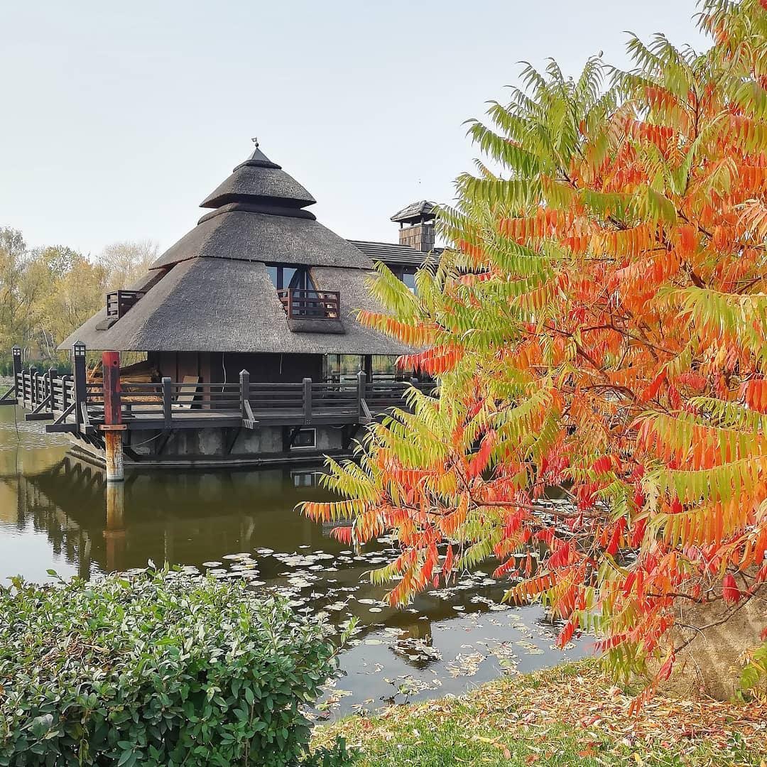 Красота в деталях. Фото: anastashaezha