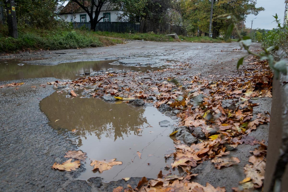Даже яркие листья не скрывают этот трындец Даже яркие листья не скрывают этот трындец