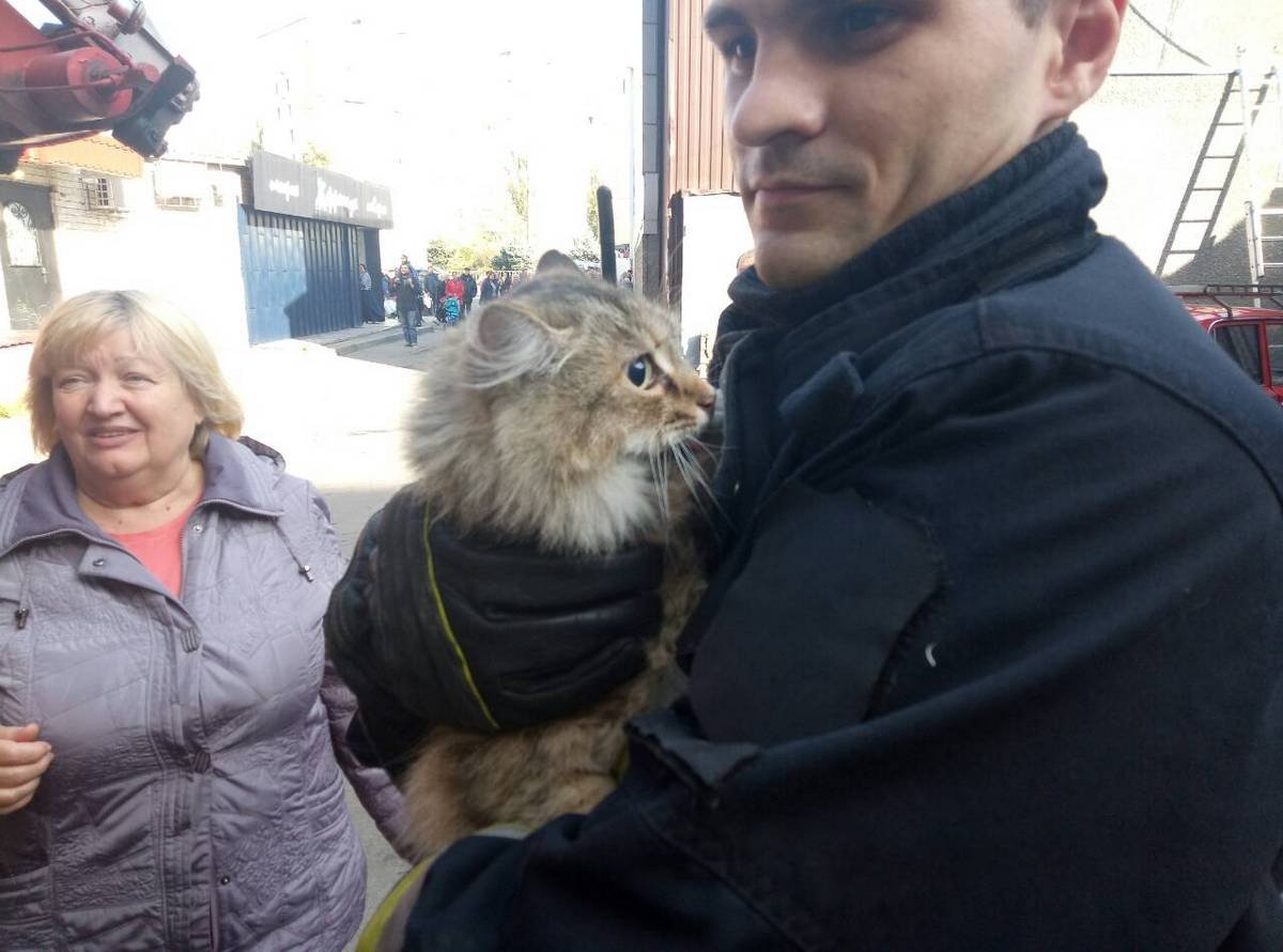 Если вы увидели животное в беде - не проходите мимо Если вы увидели животное в беде - не проходите мимо