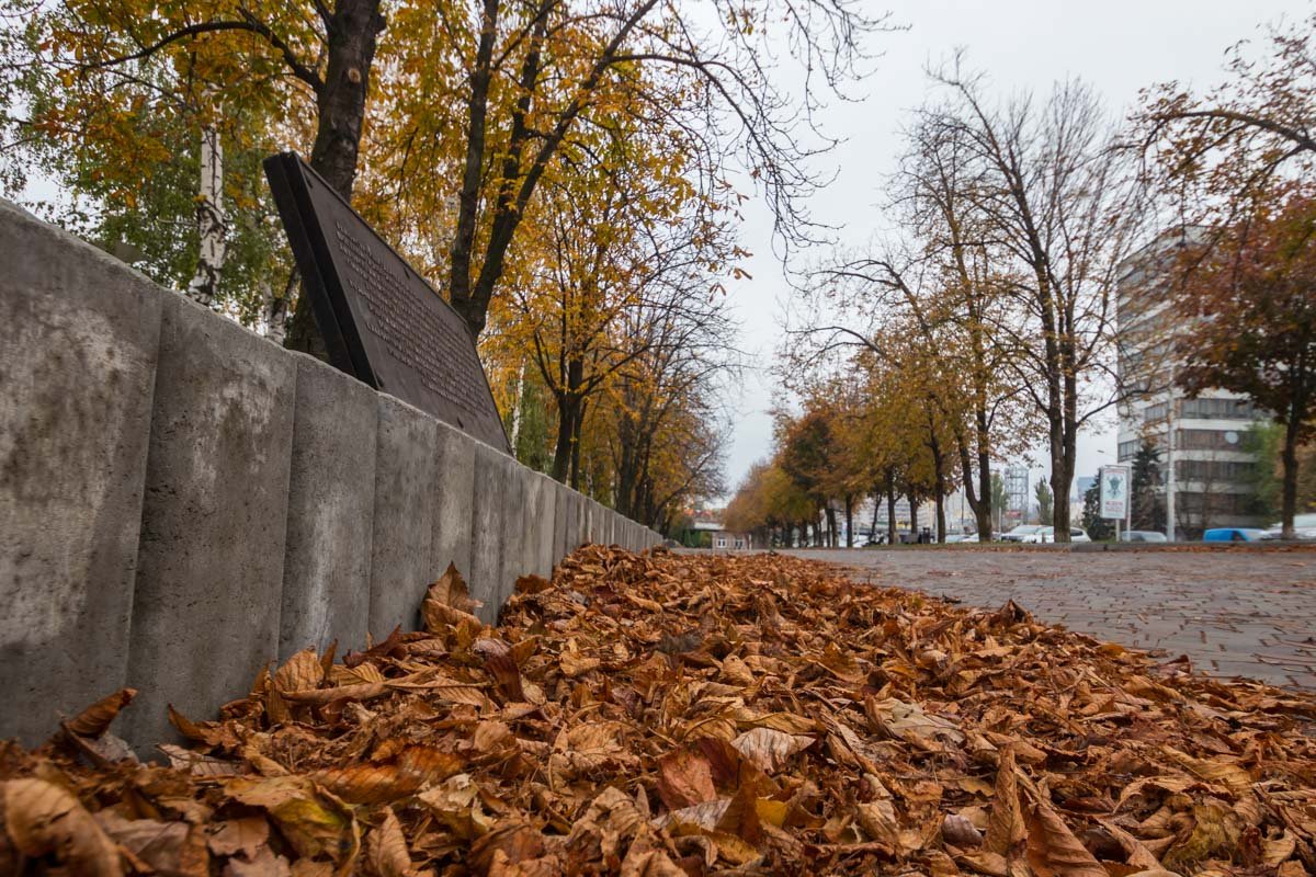 Шуршать листвой - отдельный вид удовольствия