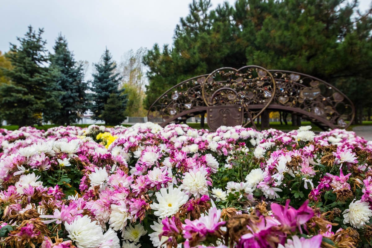 Остатки лета