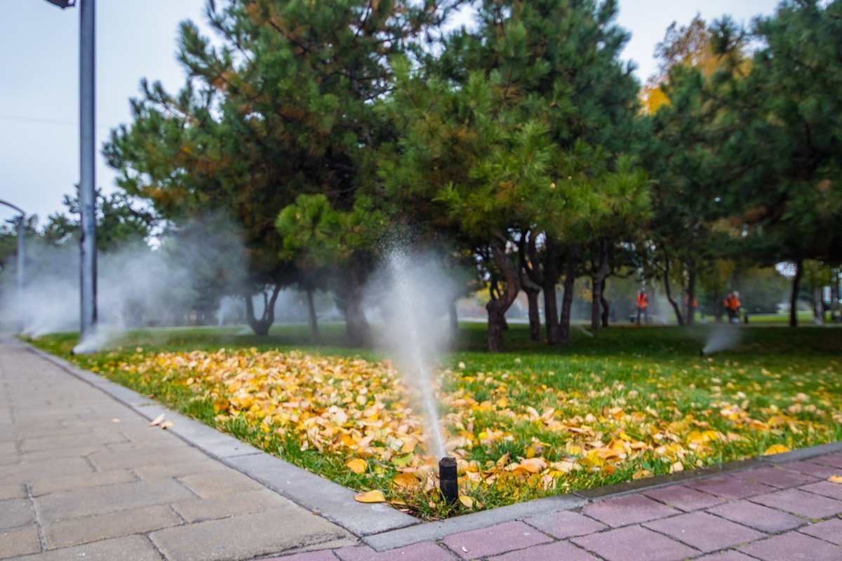 Не хватает дождя