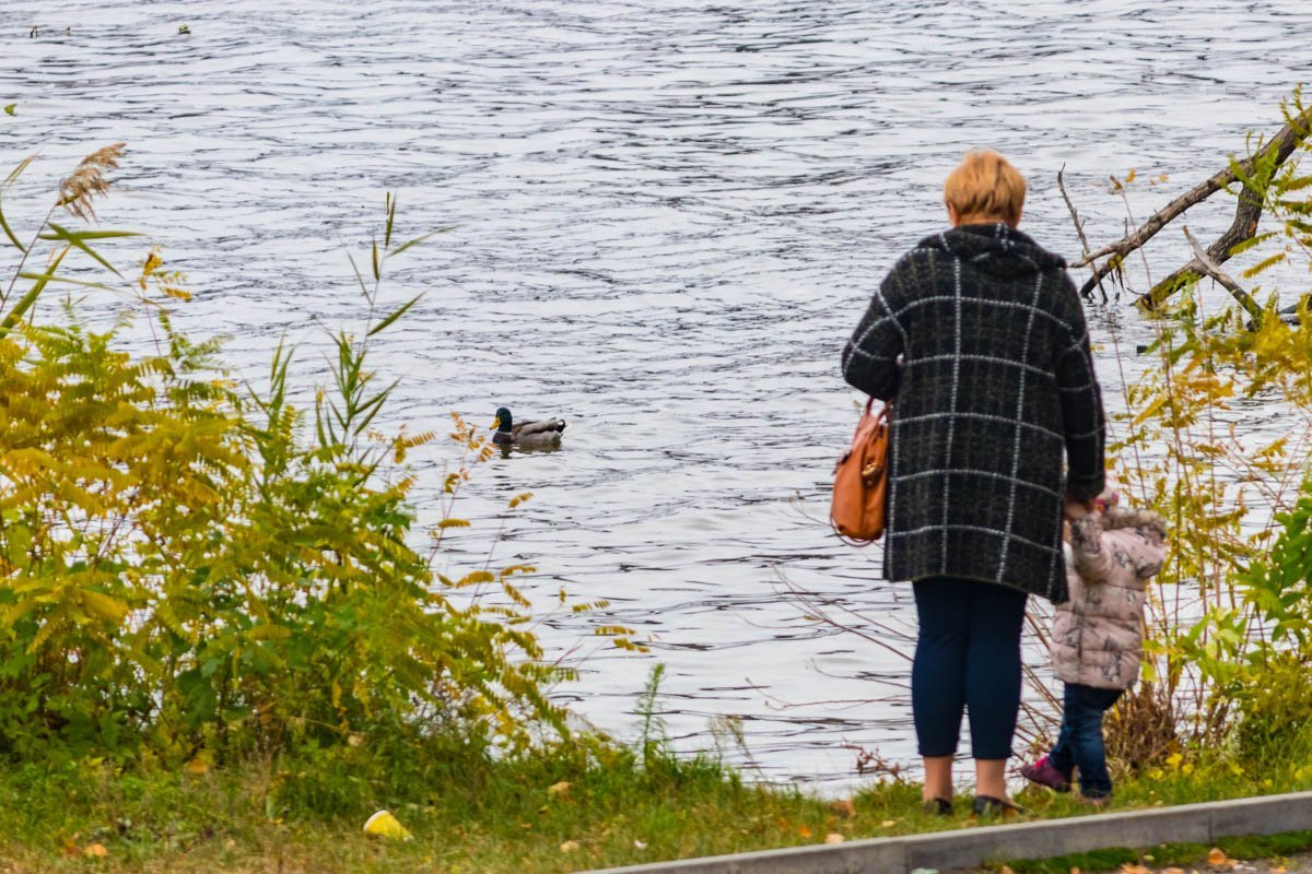 Самое время провести день с семьей