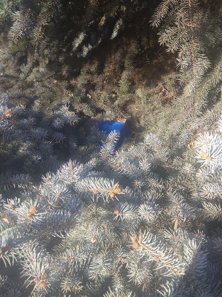 Полиция выясняет детали происшествия Полиция выясняет детали происшествия