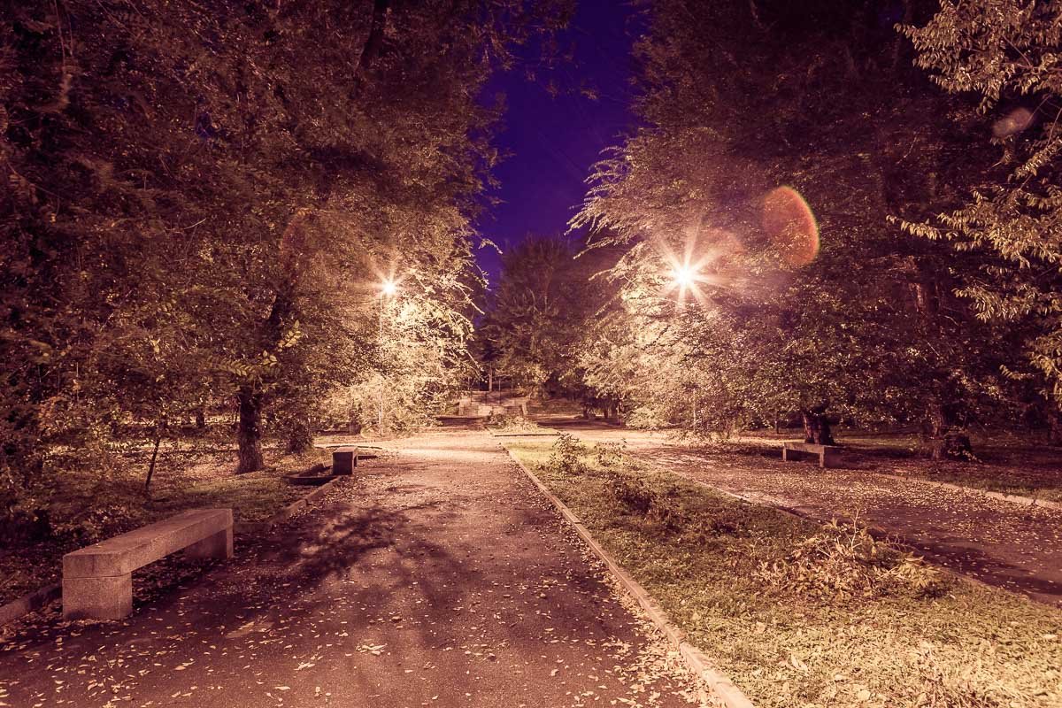 Мертвые следят за течением дней в парке