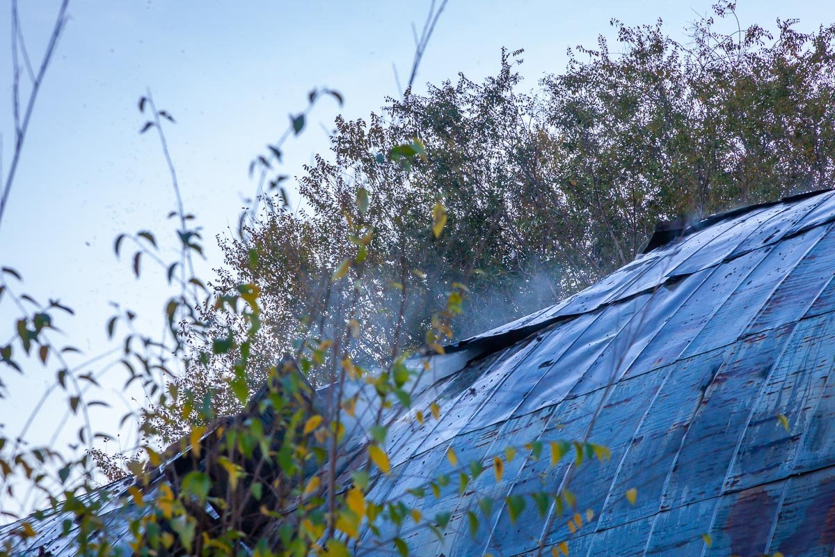 Фото: Влад Лестев Фото: Влад Лестев