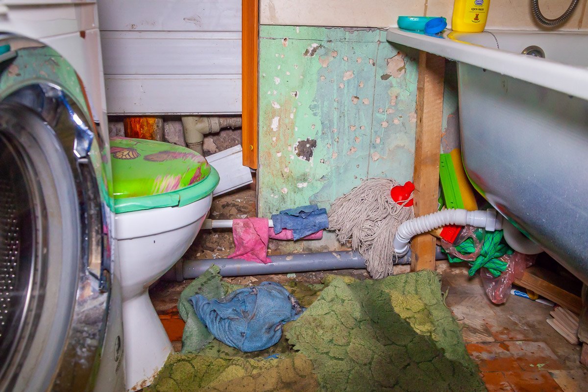 В таких условиях приходится жить В таких условиях приходится жить