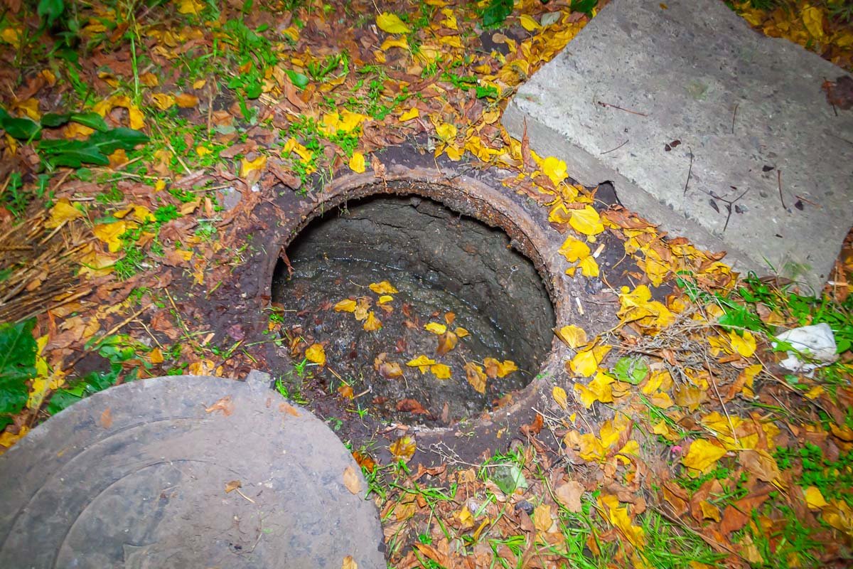 Фекалии заполонили люки Фекалии заполонили люки