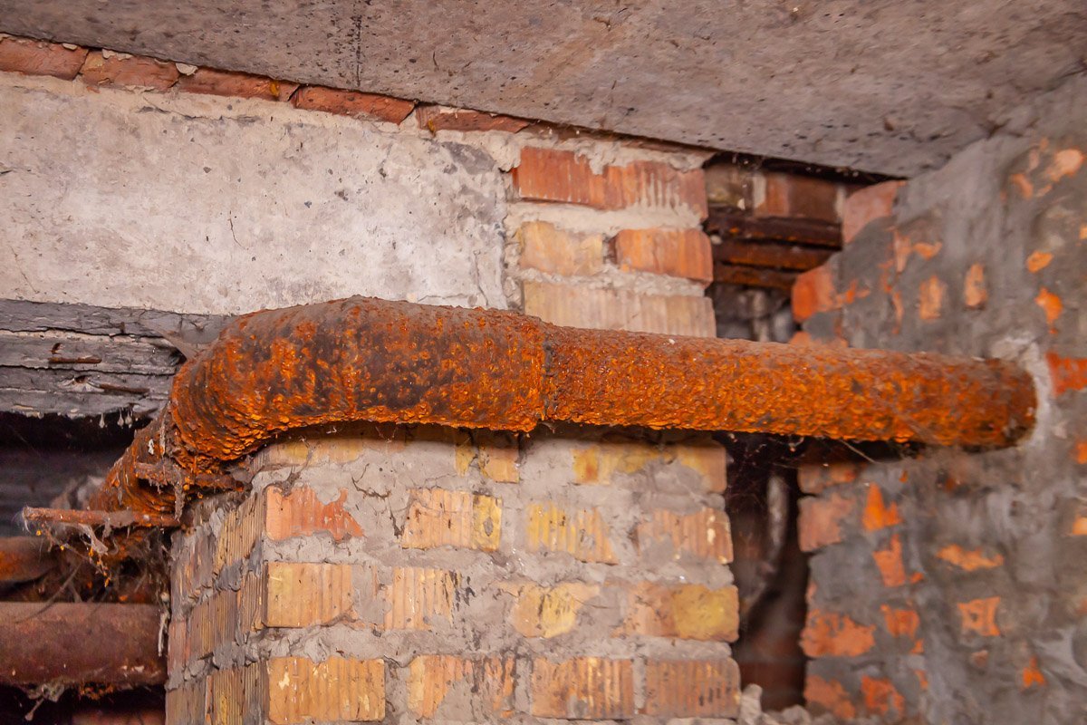 Цвет настроения рыжий Цвет настроения рыжий