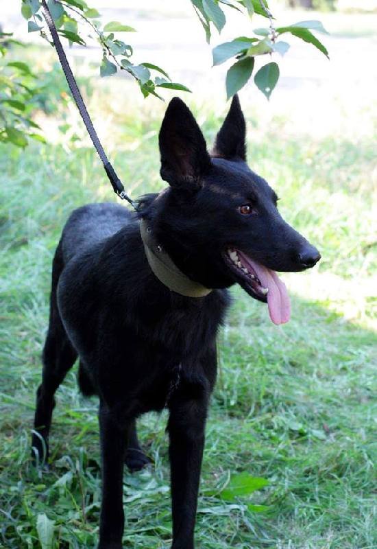 Настоящий друг Настоящий друг