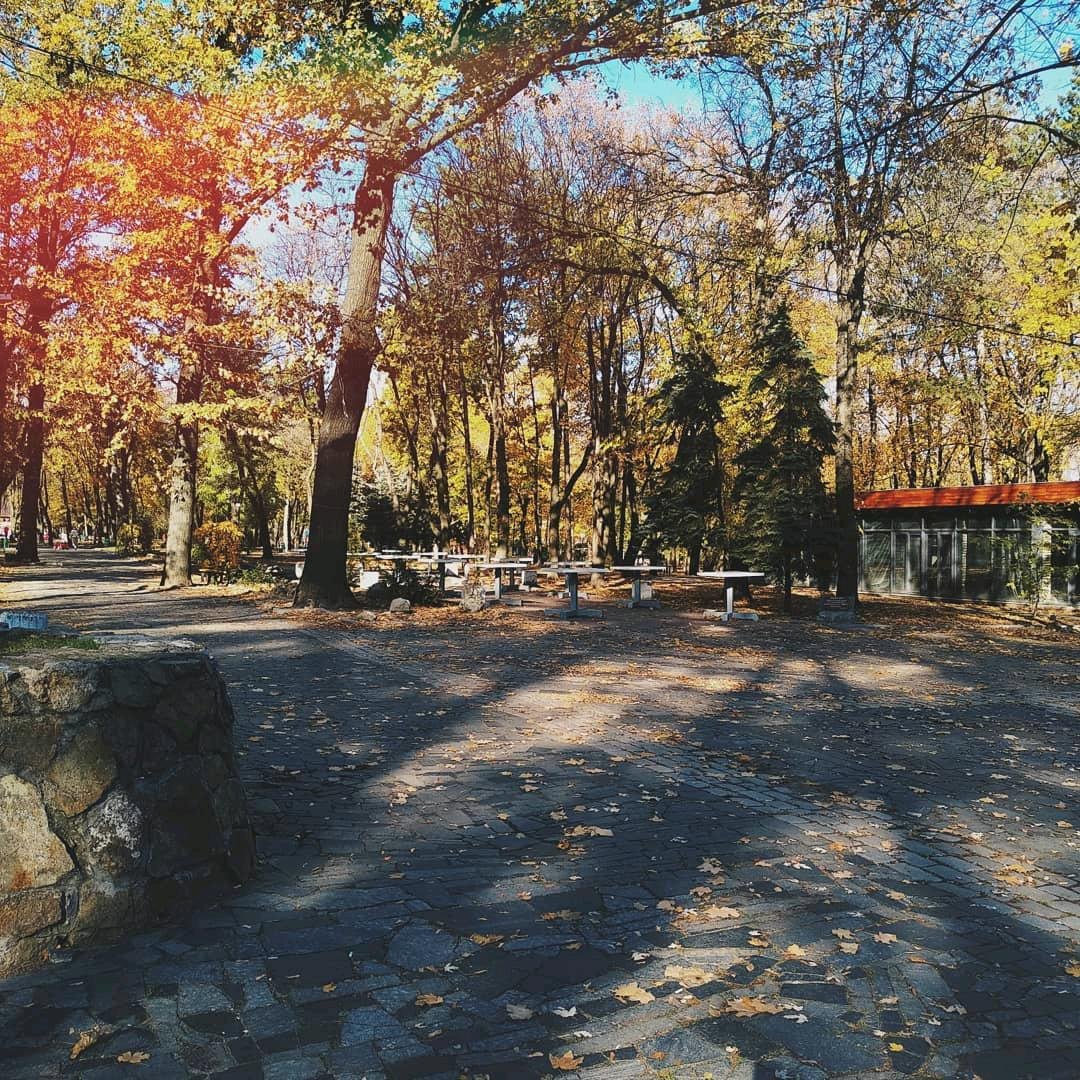 Осень. Фото: @prostoromanivna Осень. Фото: @prostoromanivna