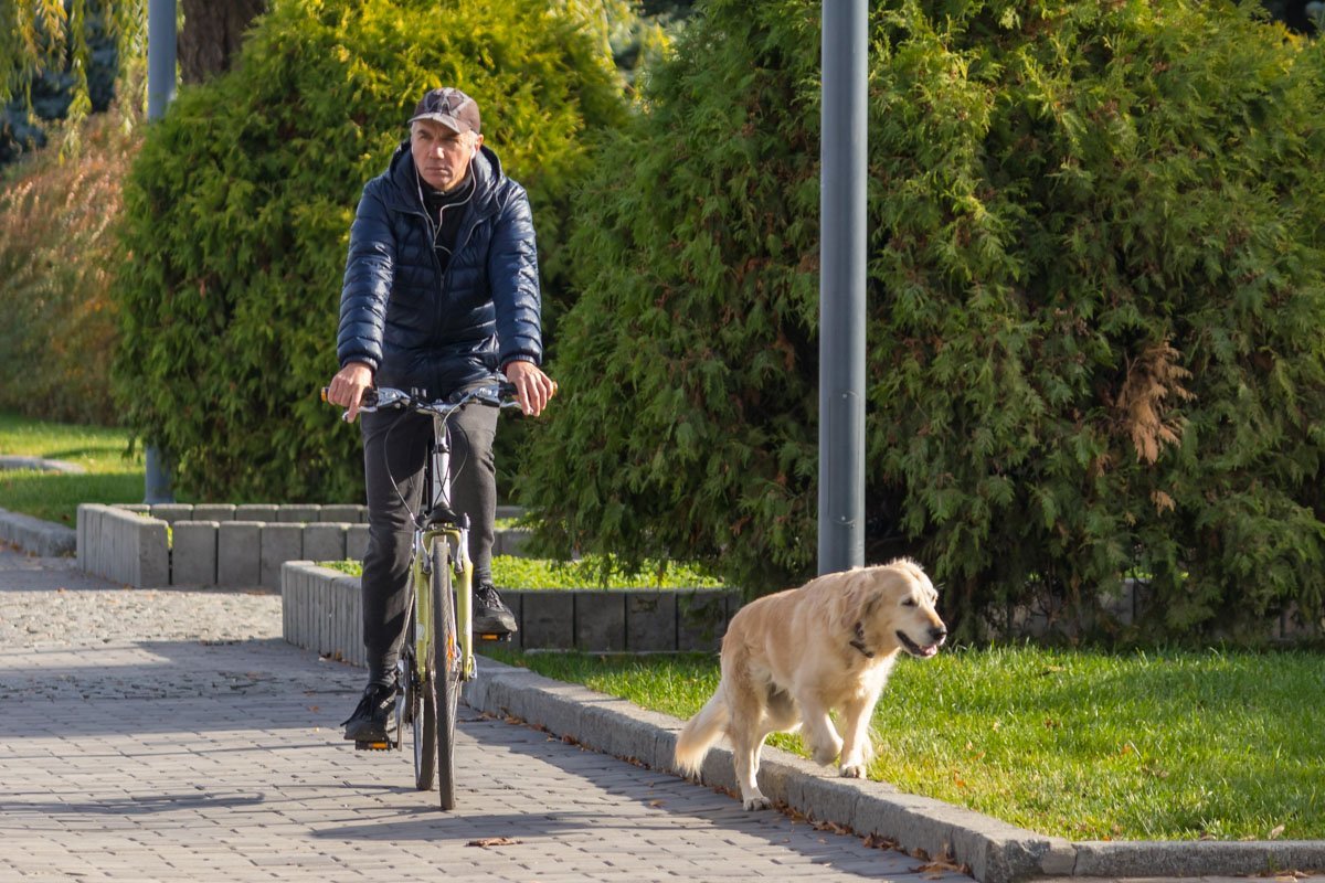 Хозяин, купи и мне велосипед