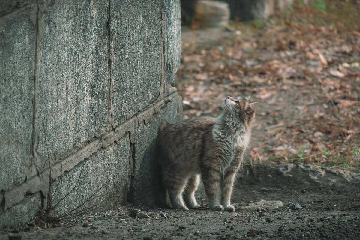 Ищет место, откуда его потом будут снимать спасатели