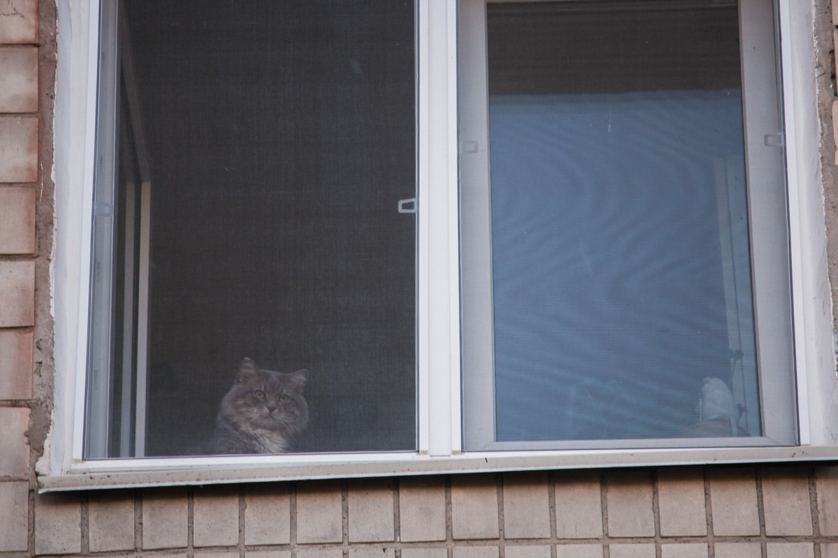 Помнит все, что хочет забыть и забывает все, что хочет помнить