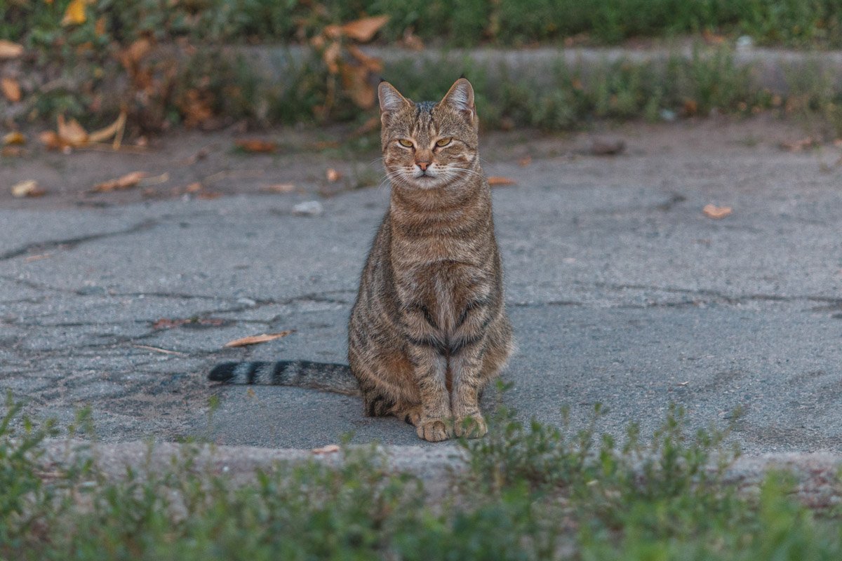 Есть два типа людей и они мне оба не нравятся 