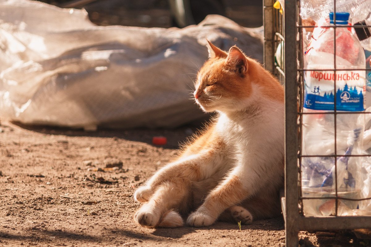 Очень устал постоянно уставать от своей усталости