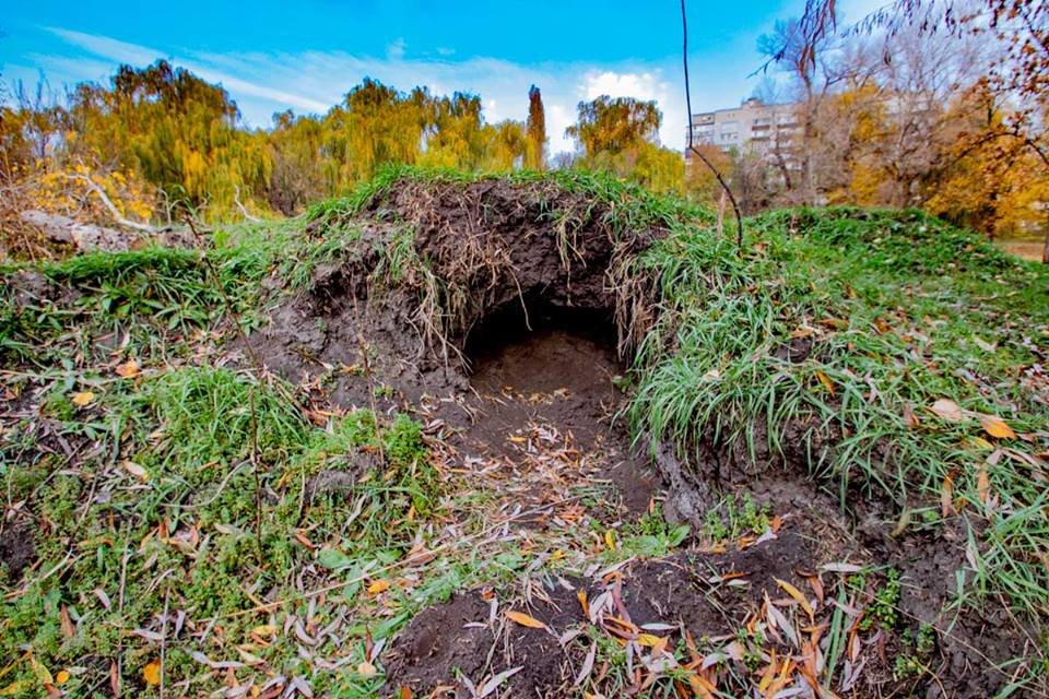 Парк, который мы заслужили Парк, который мы заслужили