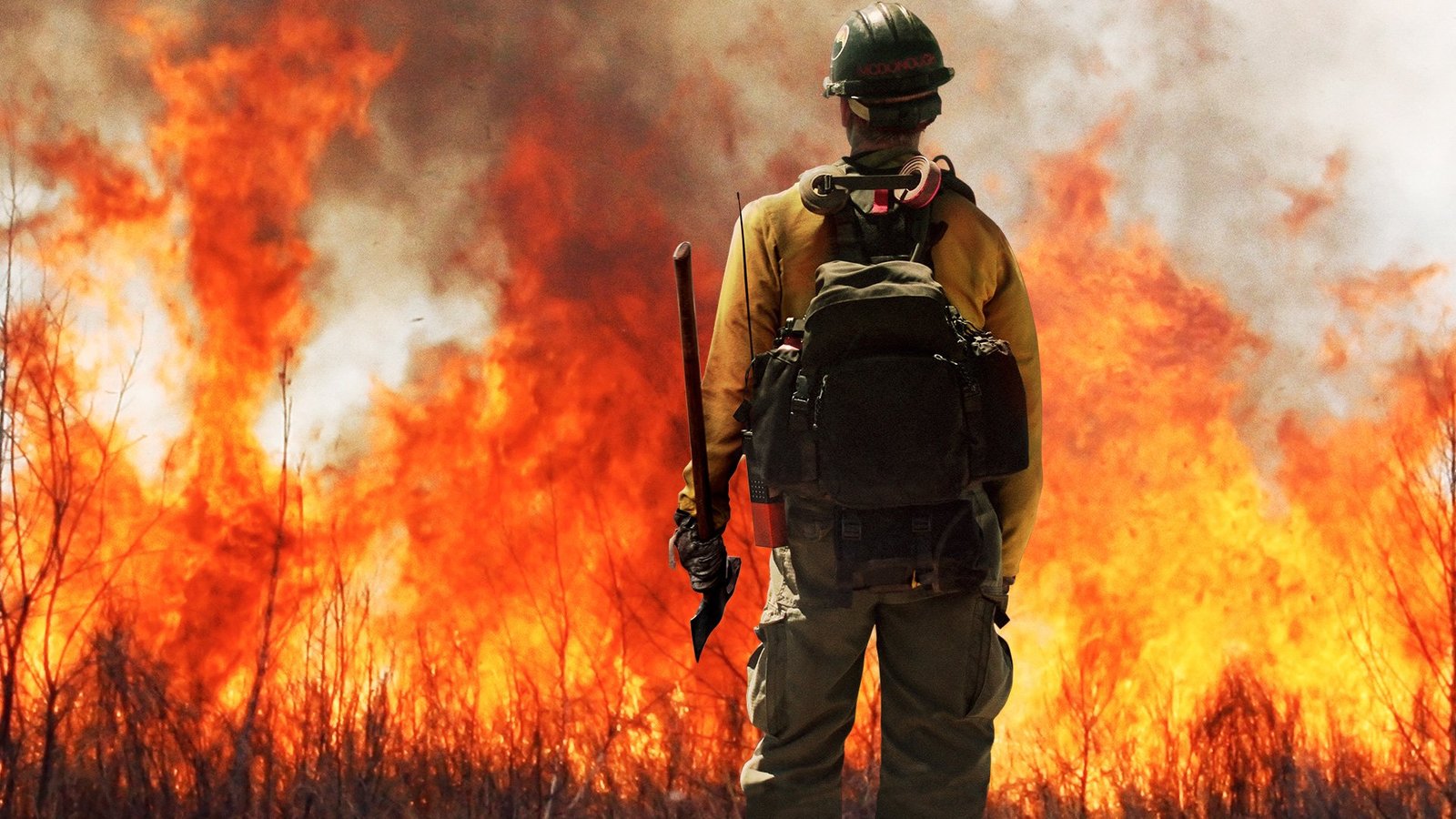 Фильм "Дело храбрых" появился в прокате в 2017 году