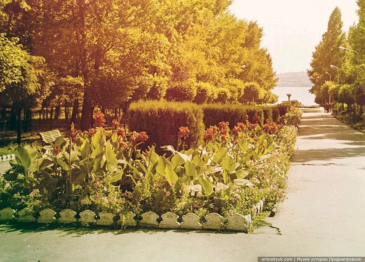 Аллея и клумбы в парке. Фото: Музей истории Приднепровска