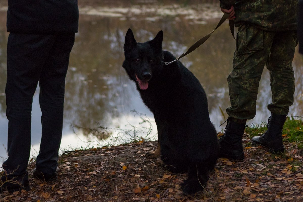 Вместо «прихода» от наркотического вещества обоих настигла смерть  Вместо «прихода» от наркотического вещества обоих настигла смерть