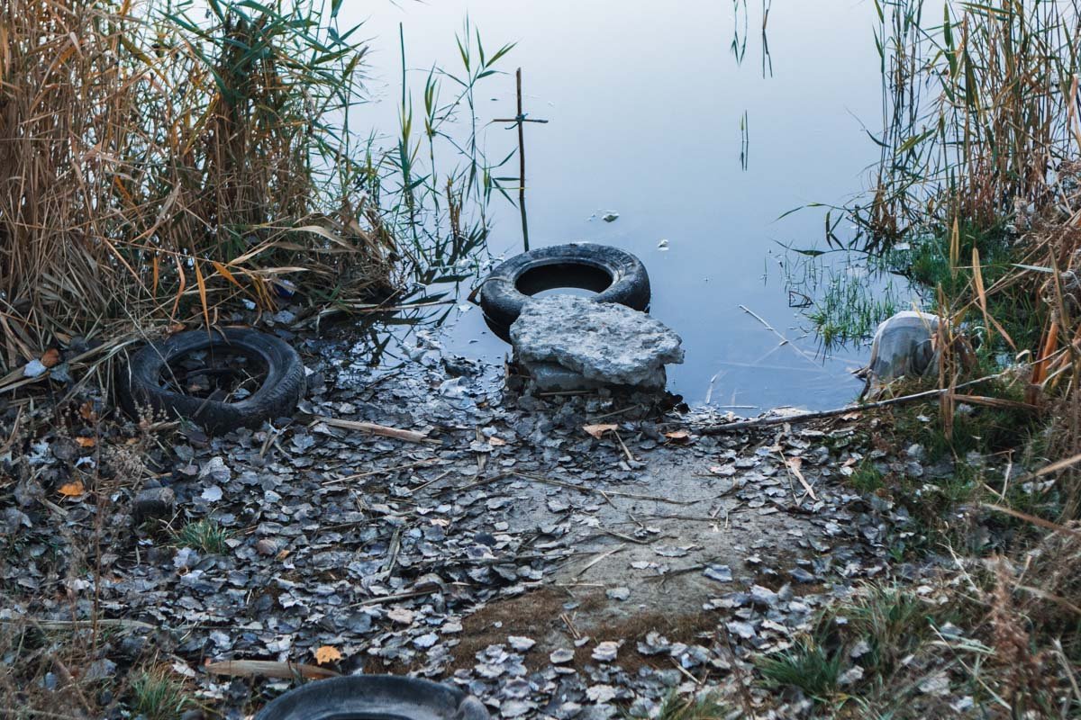 Грустно смотреть, как самое старое озеро в Днепре превращают в зловонную яму
