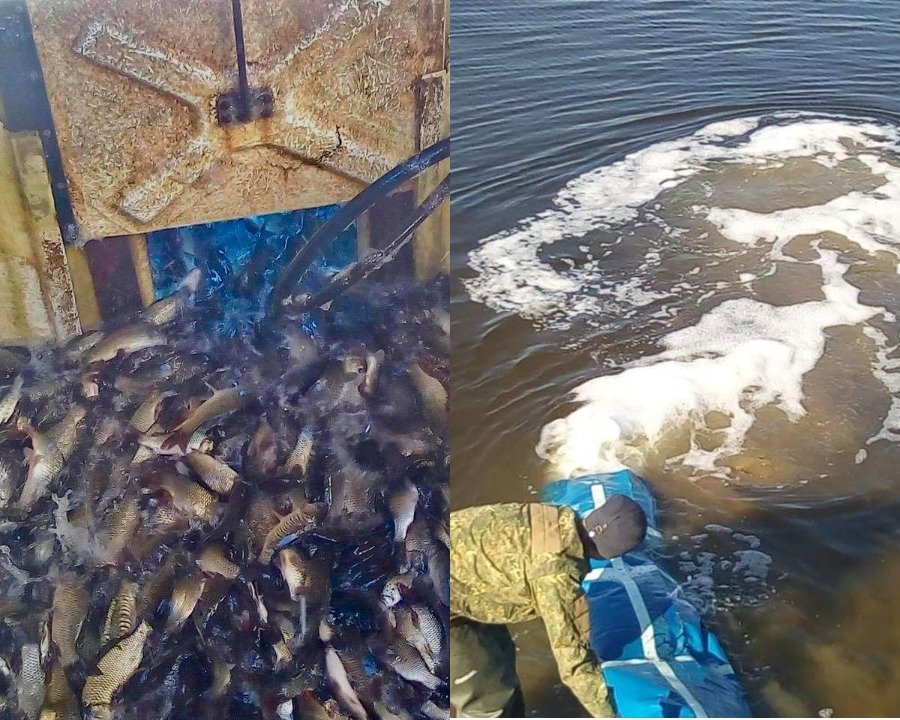 Зарыбление прошло успешно