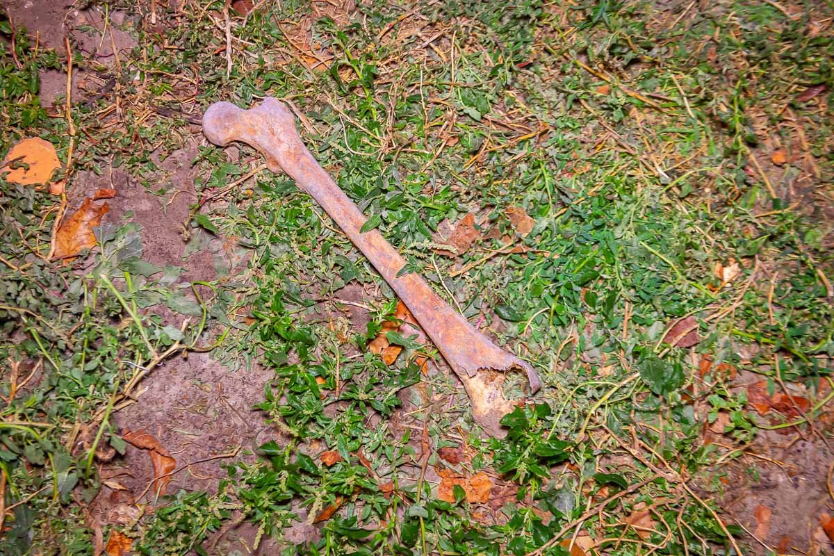 Останки человека Останки человека