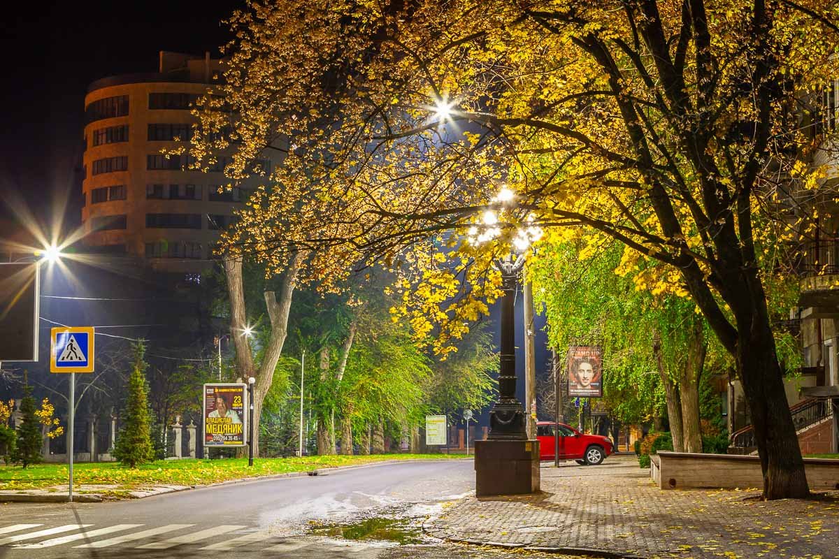 Мечта социофоба Мечта социофоба