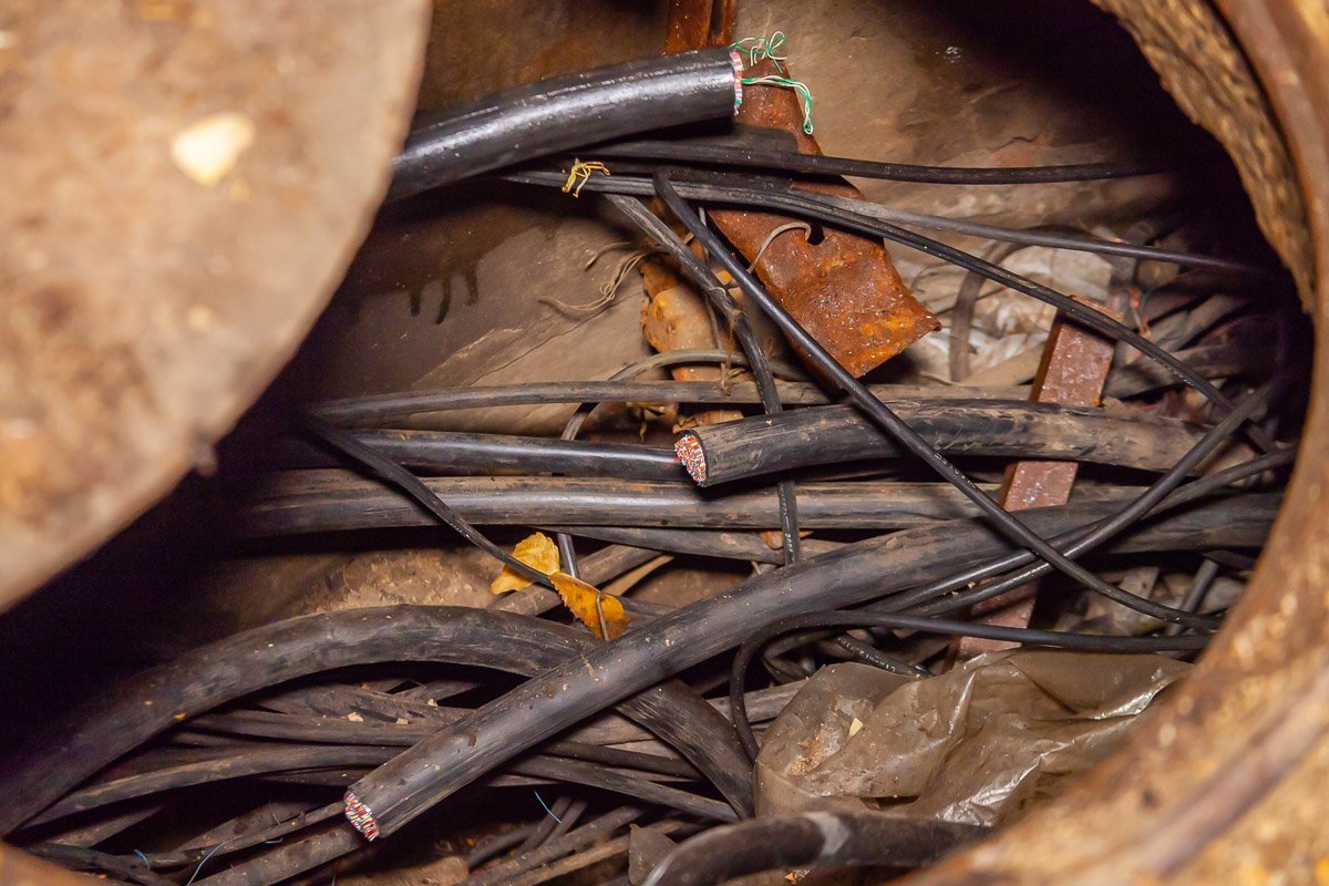 Свежий срез Свежий срез