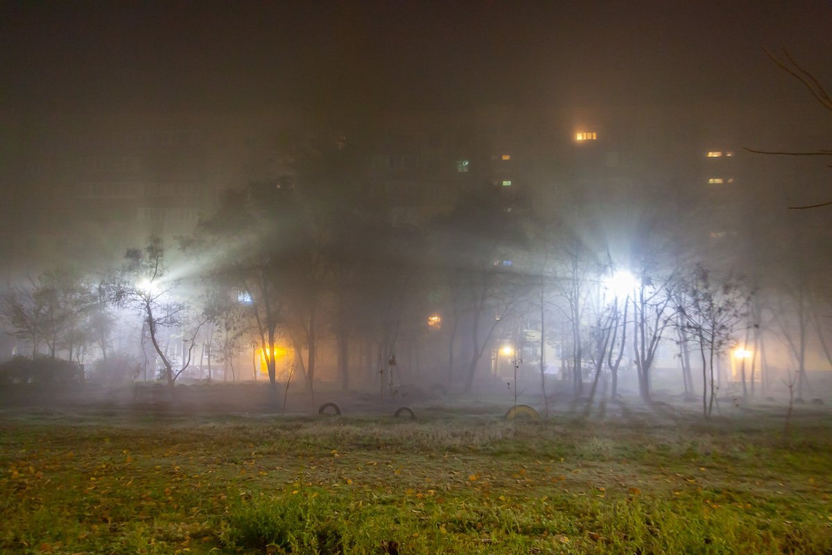 Но это оказался туман