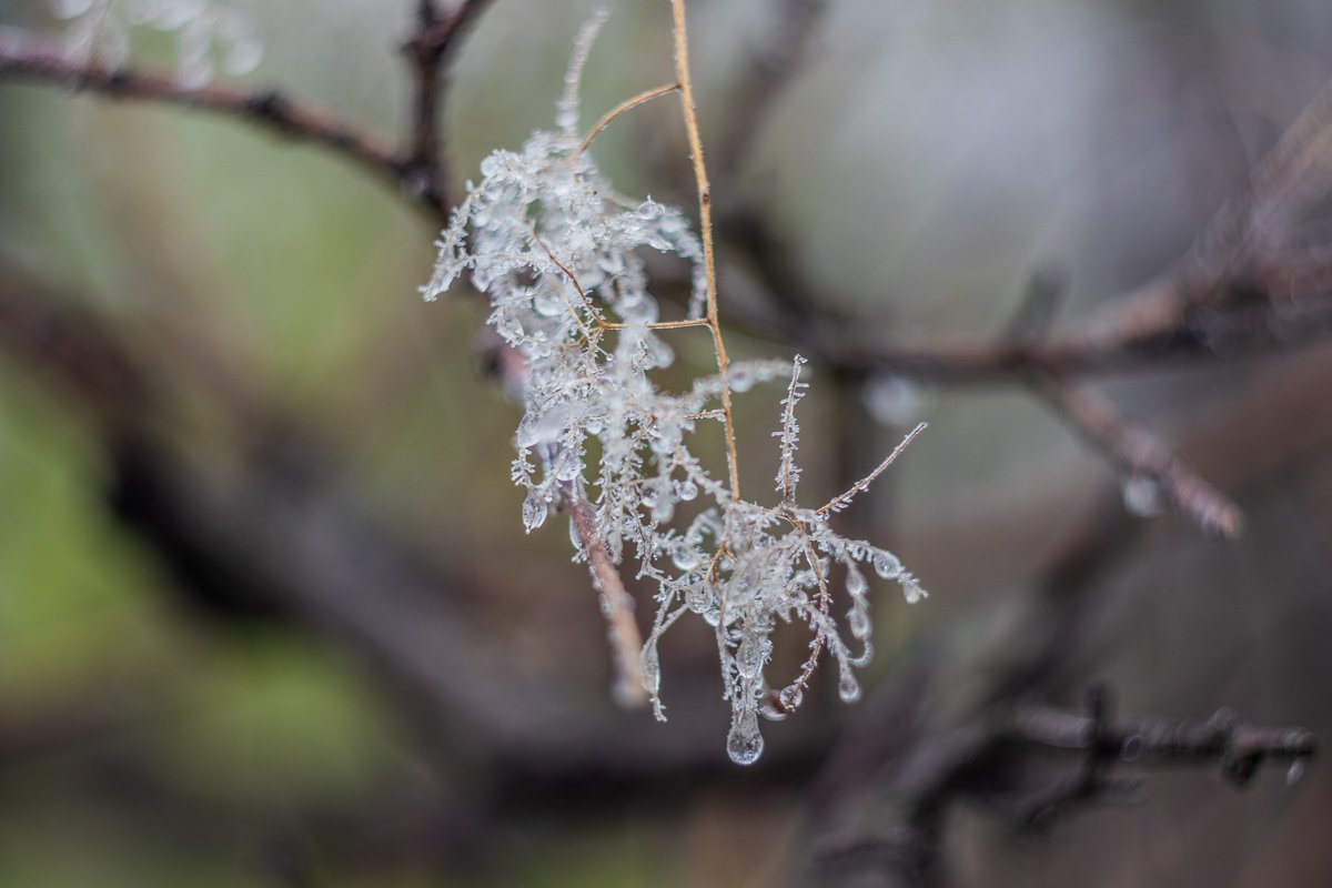 Касание зимы уже чувствуется