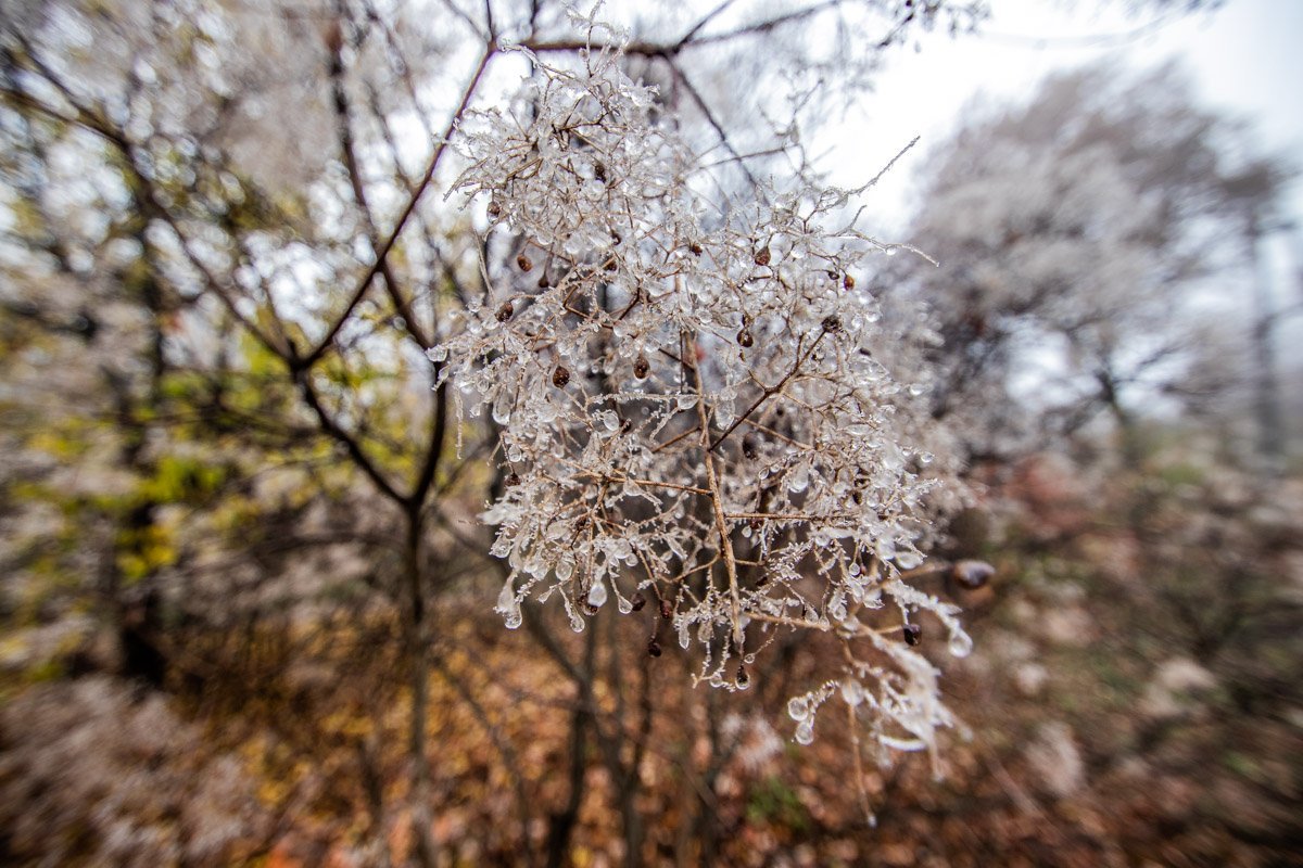 Осень задержалась в гостях