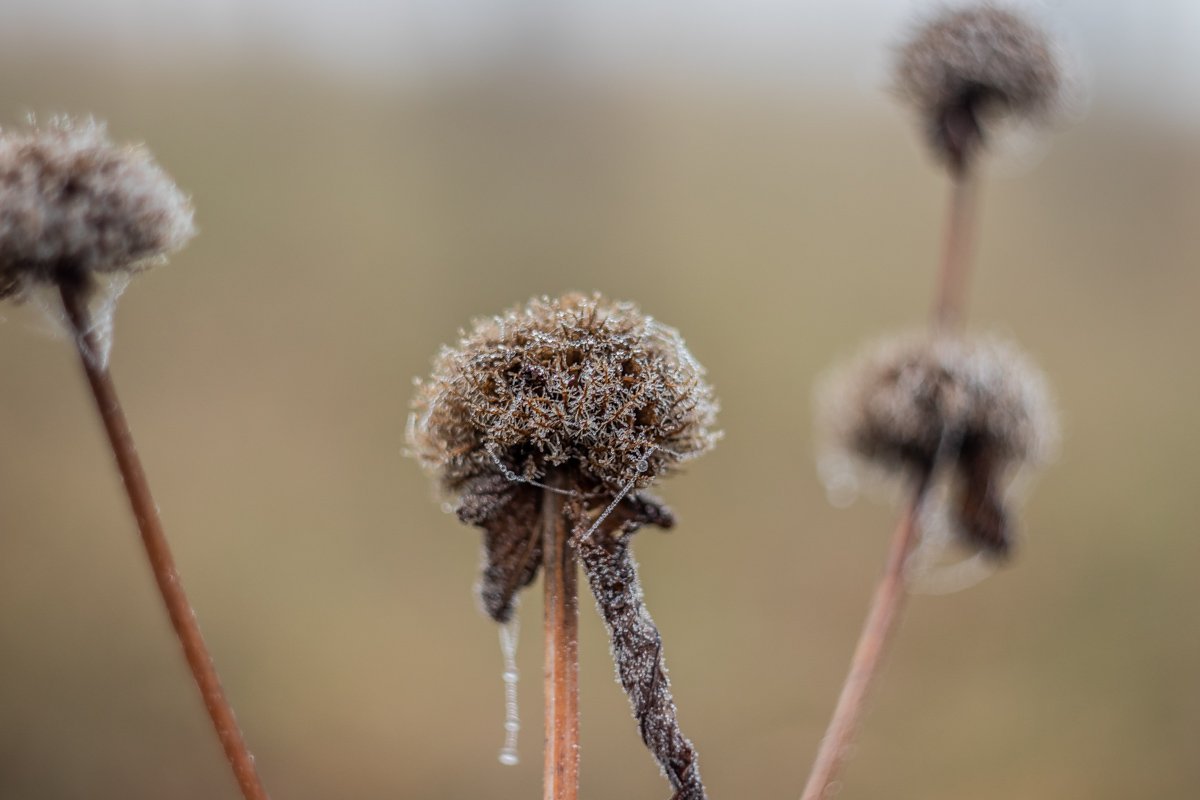 Так не хочется отпускать тепло