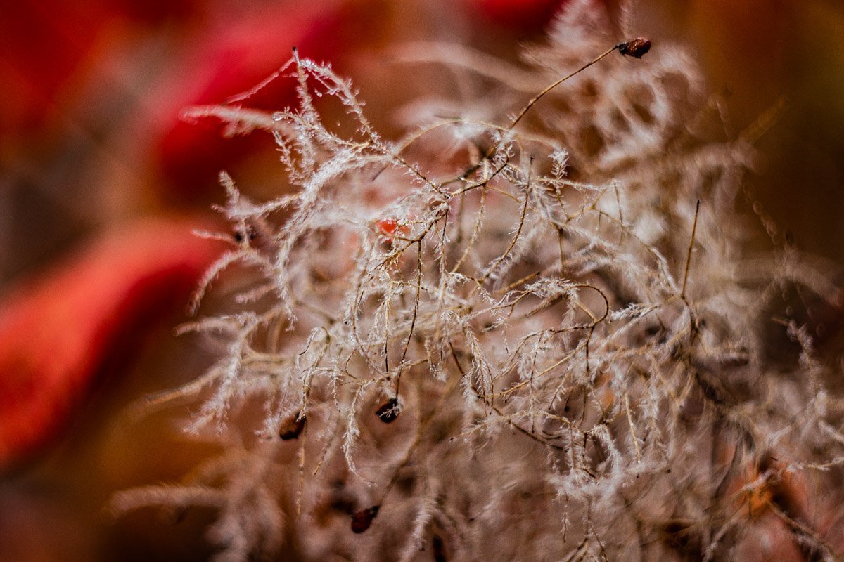 Все потихоньку засыпает, чтобы проснуться весной