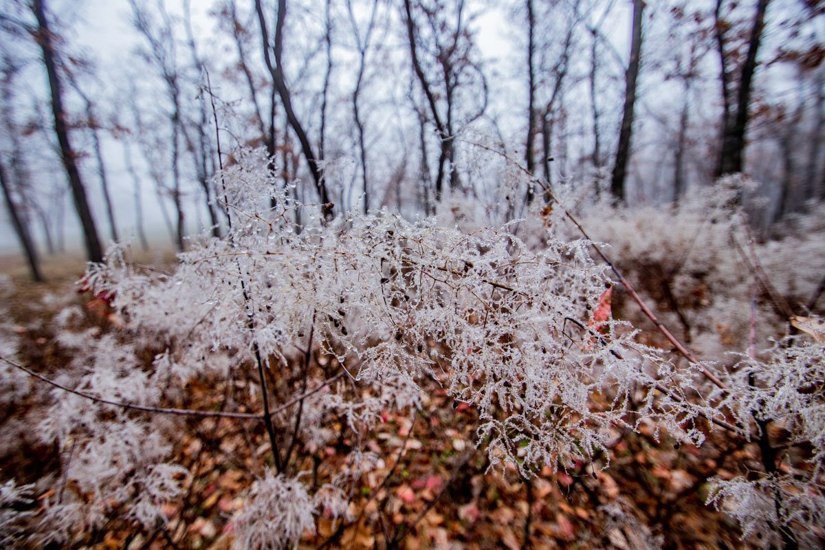 Кажется, будто где-то уже звучат новогодние песни