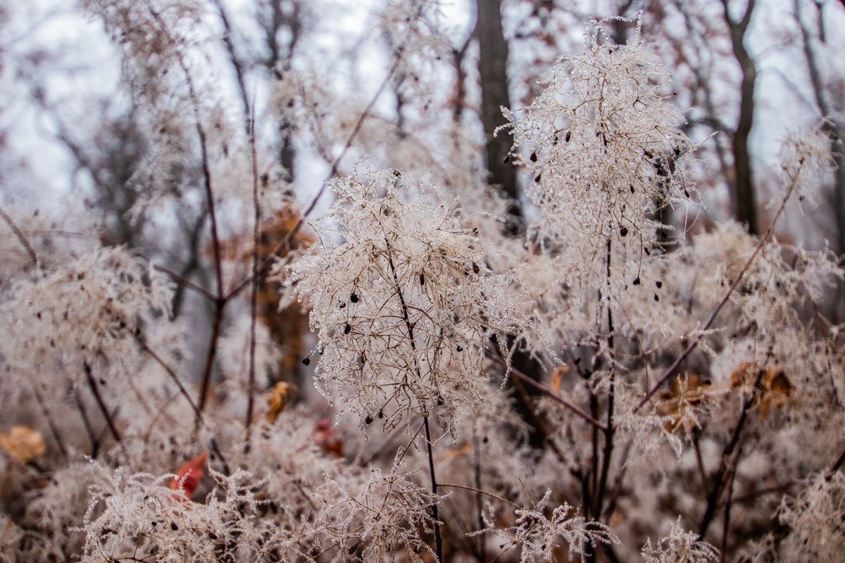 Новый наряд для природы