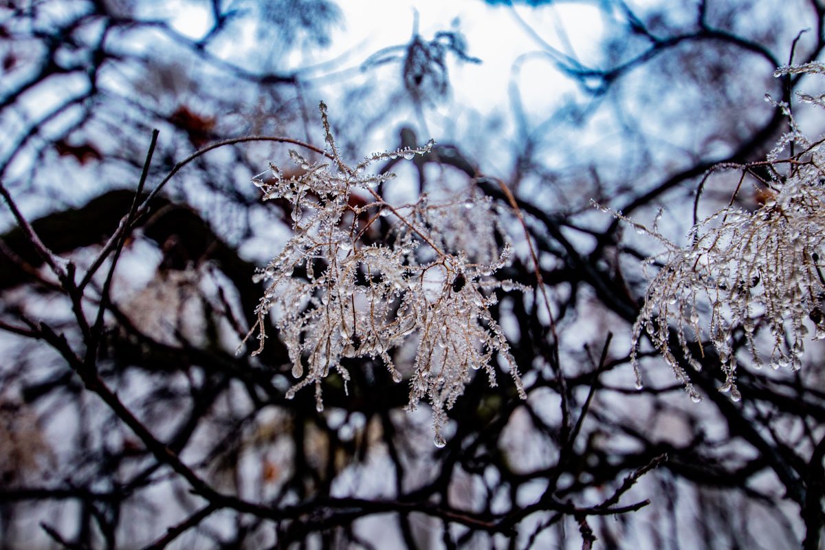 Вдыхайте глубже аромат мороза