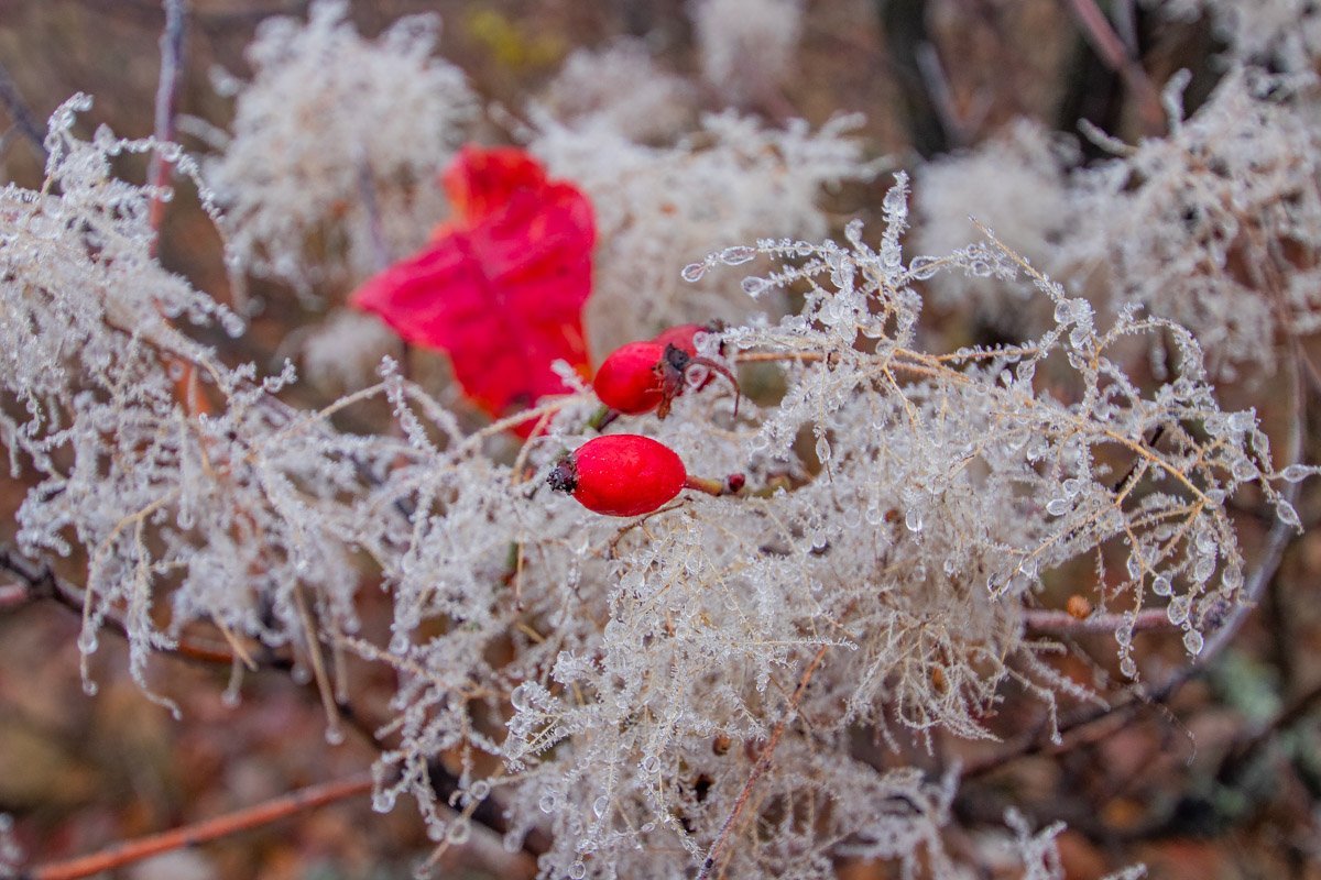 Изо всех сил пытается не замерзнуть