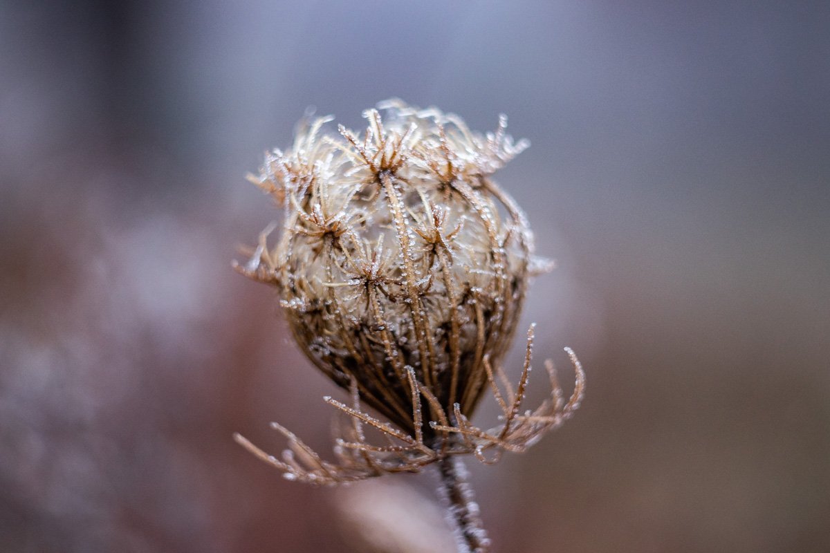 Зима дарит городу какой-то особенный вид