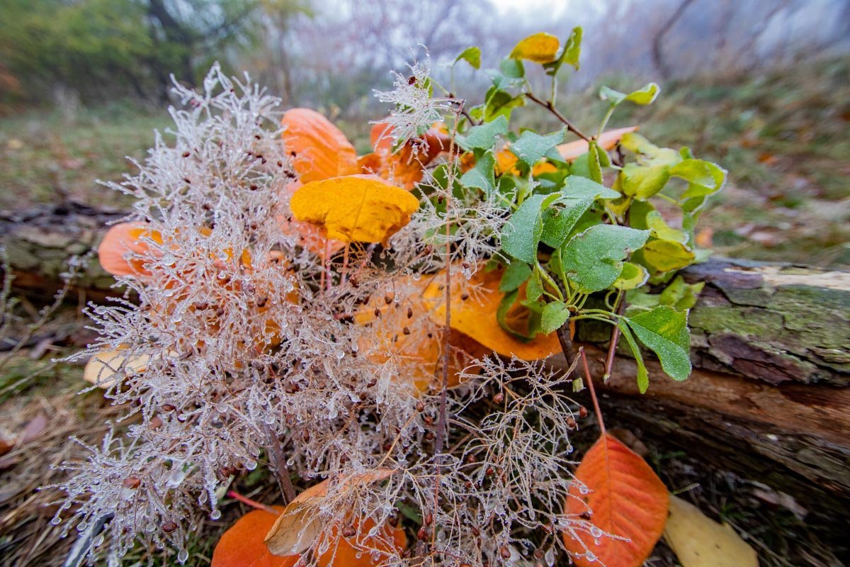 Уже так хочется зажечь гирлянду