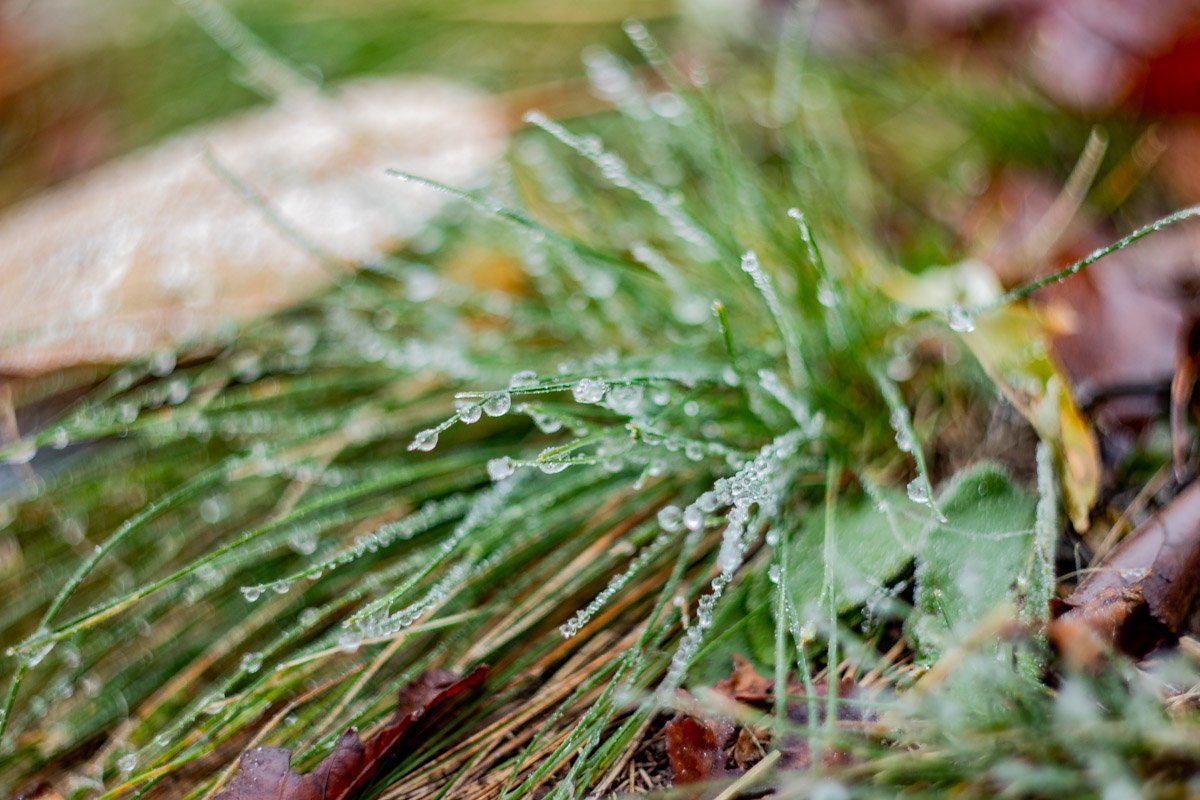 Полюбите эту зиму