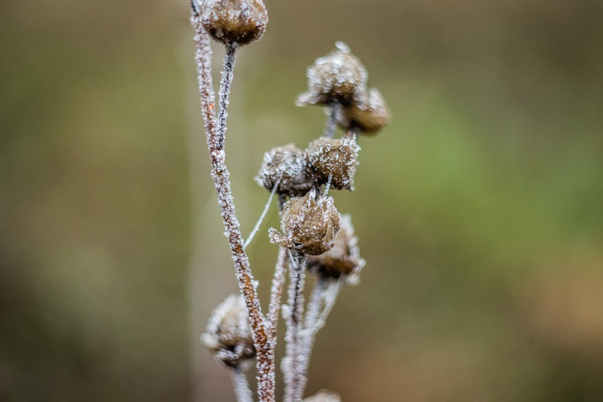 От некоторых фото чувствуется холод