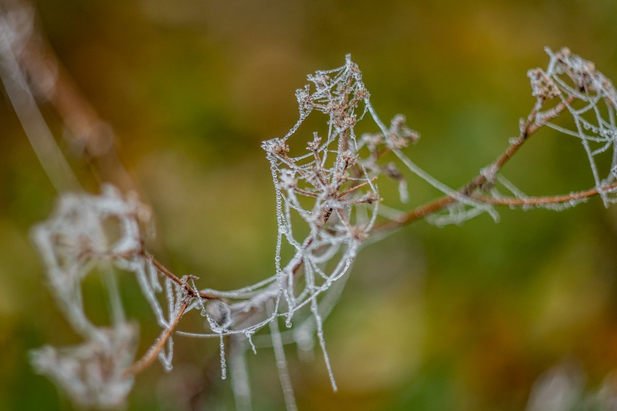 Умейте видеть прекрасное