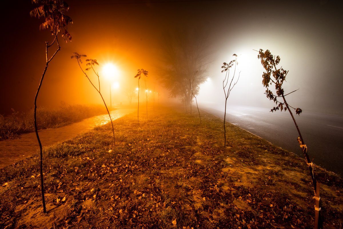 Туман навевает мистическую атмосферу