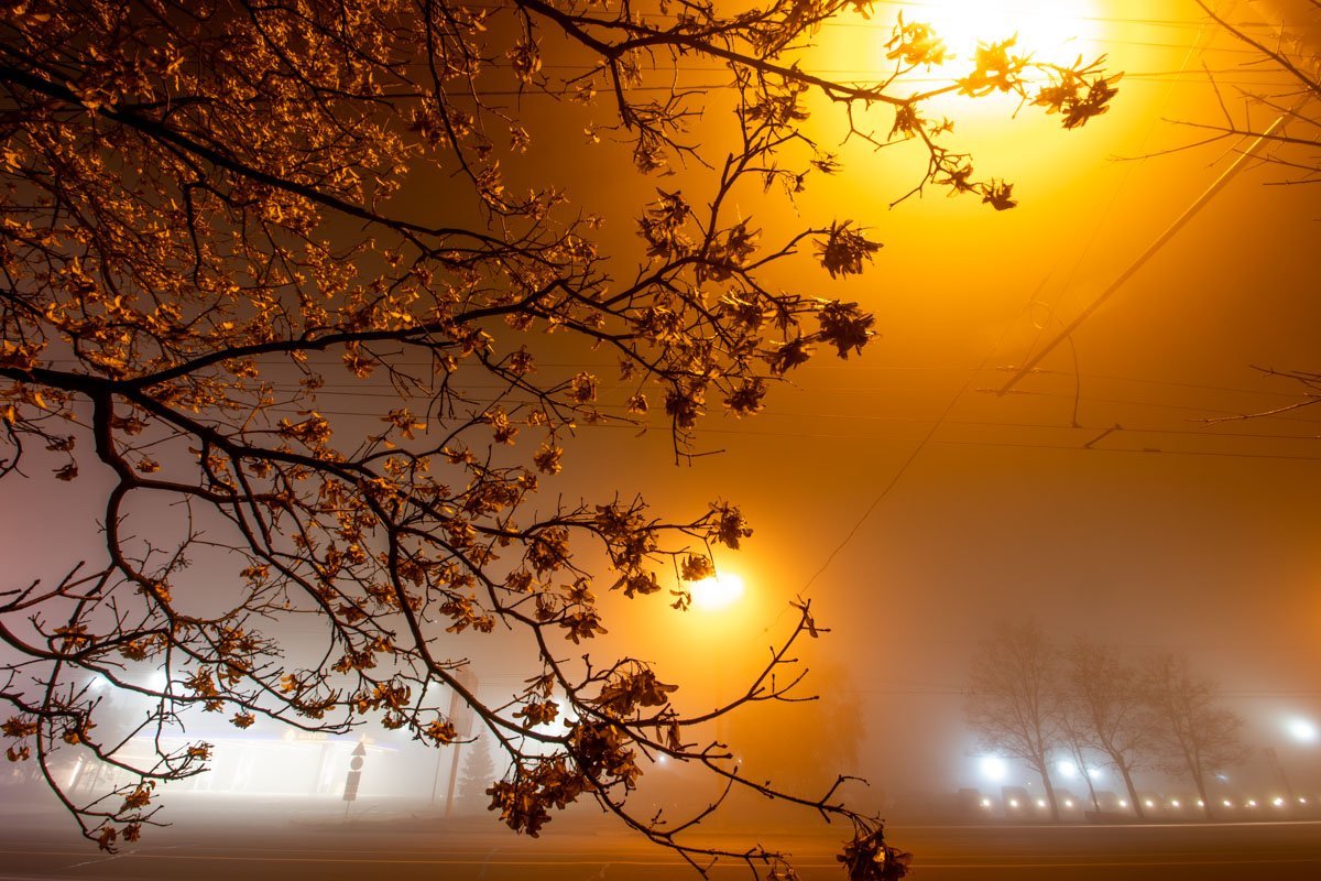 Ветви качаются в такт осени